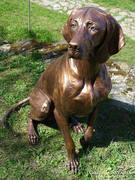 Vizsla életnagyságú bronz szobor