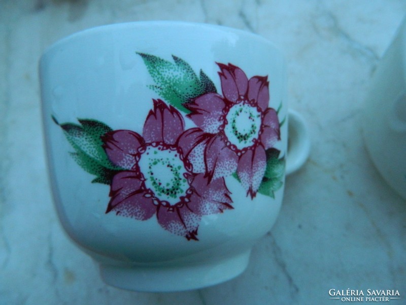 Antik nagy virágmintás  Ditmar- Urbach csésze készlet 6 fő részére