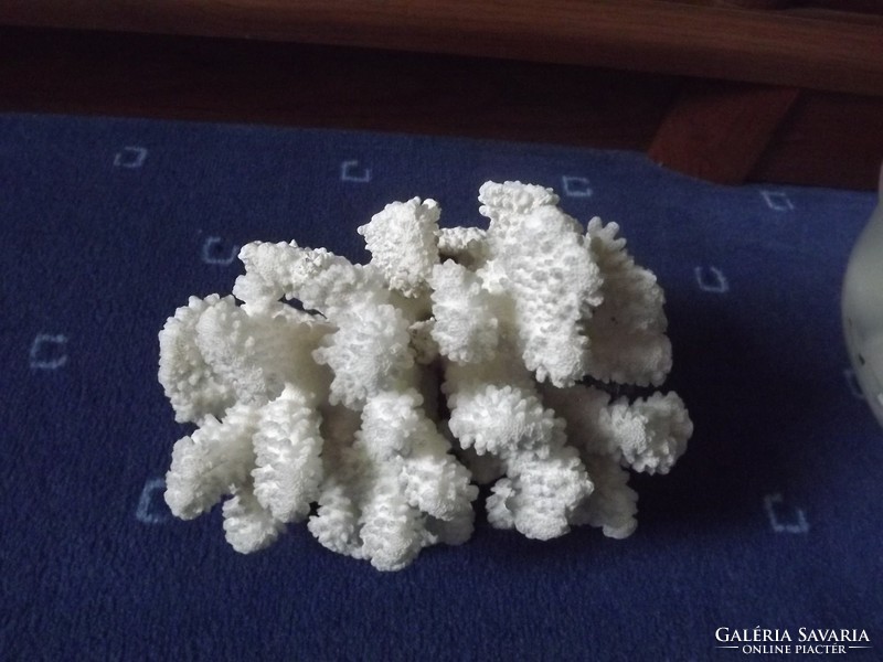 Dekoratív fehér korall 75 dkg 17,5 cm
