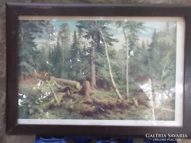 Siskin the great Russian painter with a taiga reproduction frame