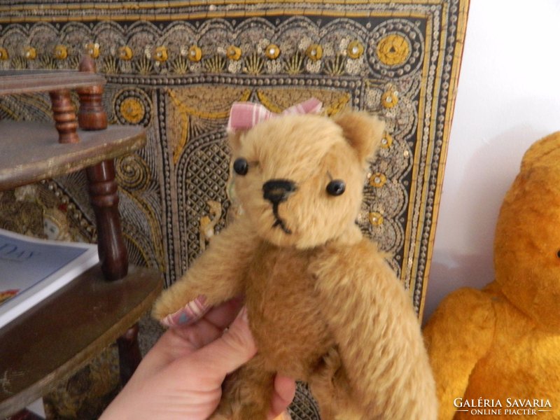 Old little teddy bear