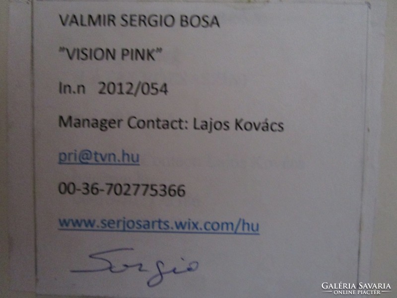 Sergio Valmir Bosa: VISION PINK 78 X 64 cm