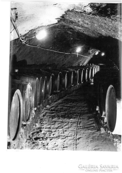 Borászat, szőlészet Vintage fotó 18*25  egy borász felvétele pincekészlet