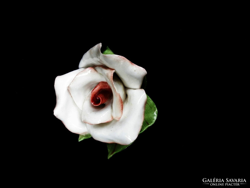 Aquincumi gyönyörű rózsa 