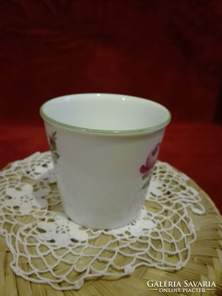 Altwien porcelain augarten cup glass cup Austrian flawless