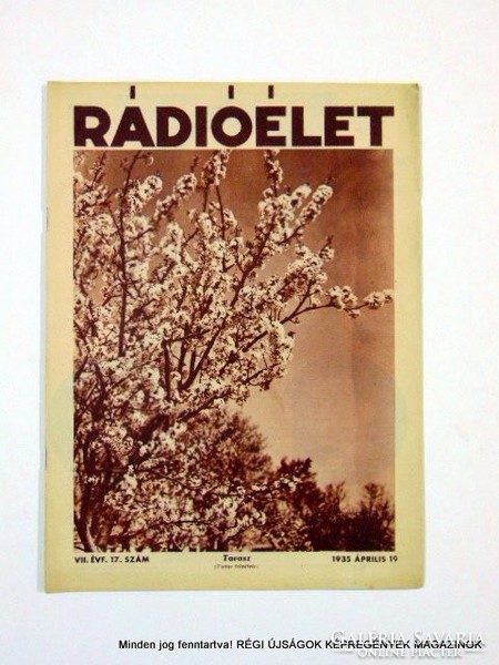 1935 április 19  /  Rádióélet  /  Régi ÚJSÁGOK KÉPREGÉNYEK MAGAZINOK Szs.:  9256