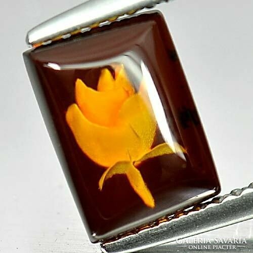 Genuine 100% Natural Engraved Baltic Amber Gemstone 0.69ct - st. Cleanliness