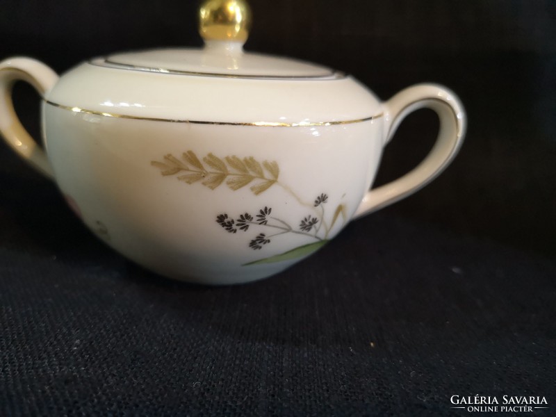 Gyönyörű Arzberg német porcelán pillangós tégely/bonboniere hibátlan