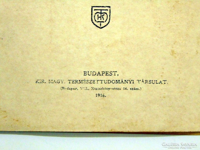 1916  /  TERMÉSZETTUDOMÁNYI KÖZLÖNY  /  RÉGI EREDETI ÚJSÁG Ssz.: 851