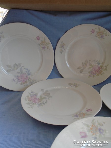 Beautiful old Rosenthal plates for 5, large size 26 cm flawless