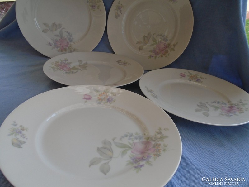 Gyönyörű régi ROSENTHAL tányérok 5 személyes nagy méret  26 cm  hibátlan