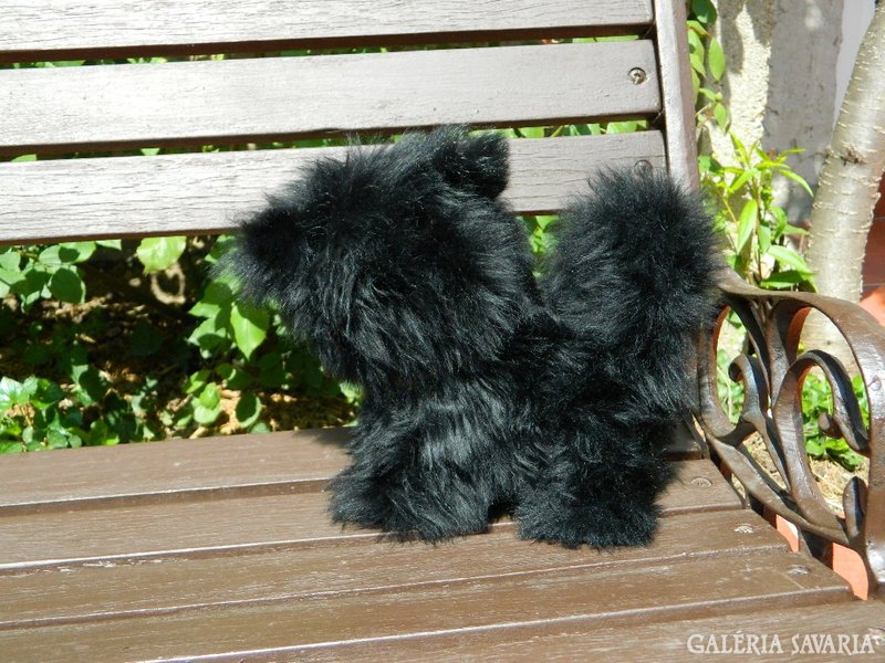 Fekete dekor cica mica - kandúr