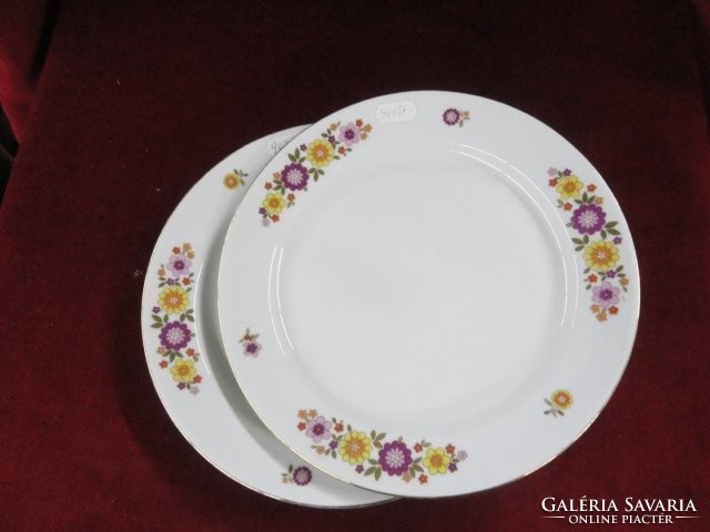 Lowland porcelain flat plate. With color pattern. He has!