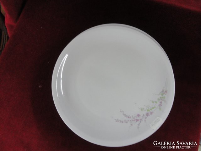 Lowland porcelain flat plate. He has!