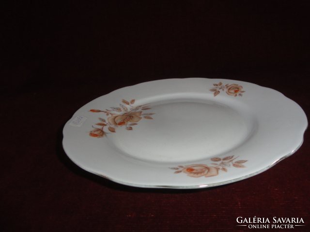 Mz Czechoslovak porcelain flat plate, on a snow-white background with a brown rose. He has!