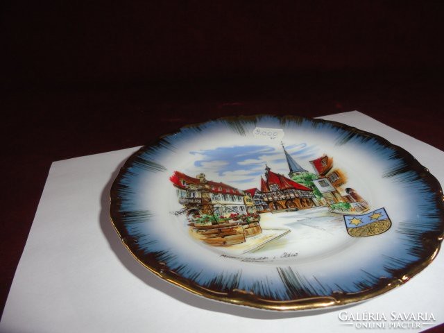Unmarked Austrian porcelain wall plate. In the middle is the town hall of micheistadt. He has!