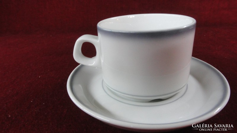 Lilien porcelain Austria, coffee cup + saucer, gray border. He has!