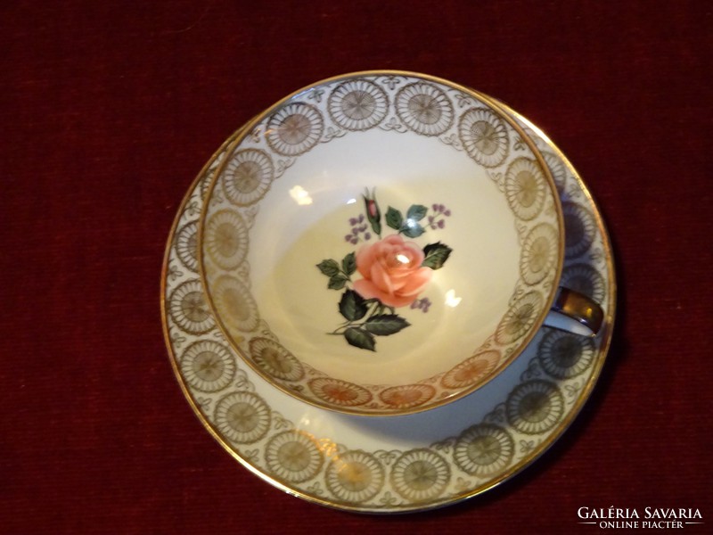 Winterling Bavarian German porcelain teacup + saucer. Richly gilded. He has!