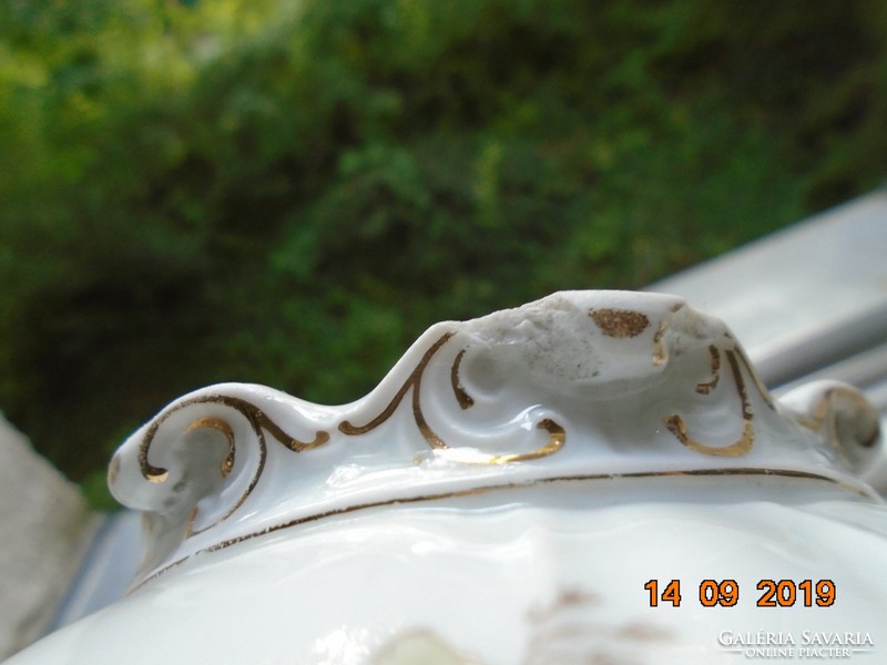 Pls imperial rococo style with ribbed flower pattern pouring genre scenes