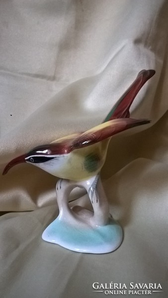 Rare aquincum kingfisher