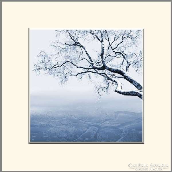 Moira Risen: A fa ékszeres doboz - Celesztit. Kortárs, szignált fine art nyomat, fagyott tó jég ág