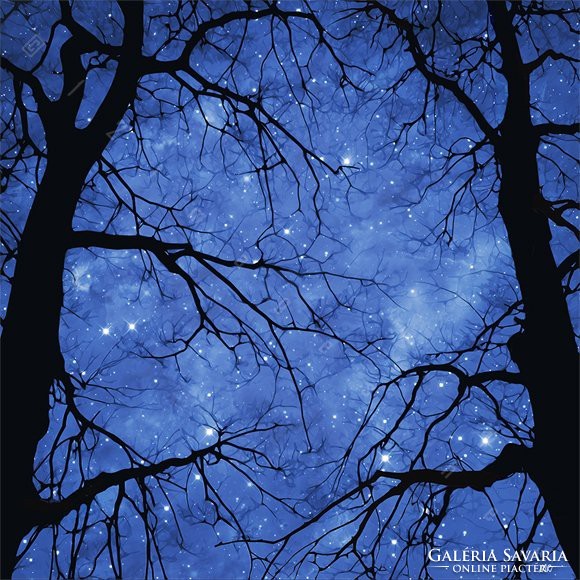 Moira risen: the wooden jewelry box - soda. Contemporary, signed fine art print, night sky with stars