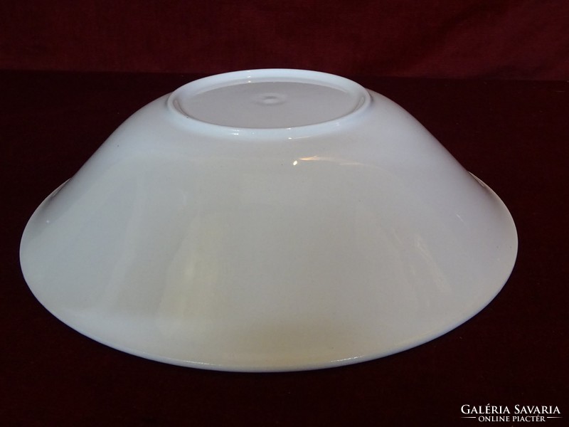 Bowl with onion pattern, diameter 25.5 cm, height 6.5 cm. Showcase quality. He has!