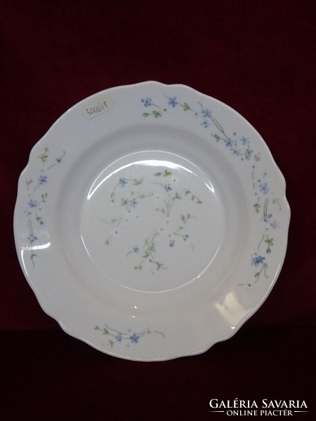French glass deep plate. 6 Personal set named Veronika. With a beautiful blue floral pattern. He has!