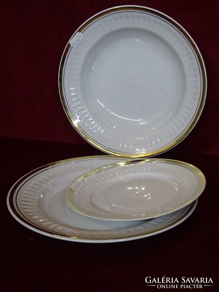 Russian porcelain deep plate, showcase quality, with gilded edge. He has!