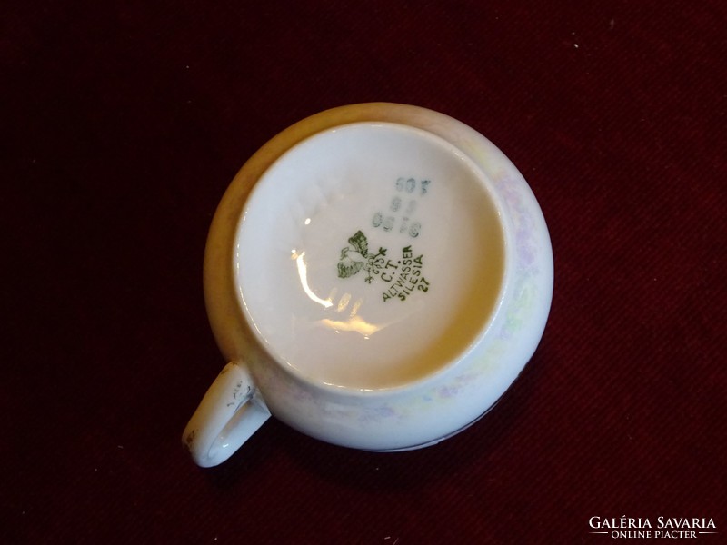 CT ALT. Wasser Szilézia Germany antik német porcelán teáscsésze, sorszáma 817/D. Vanneki!