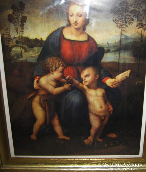 Madonna del cardinalo