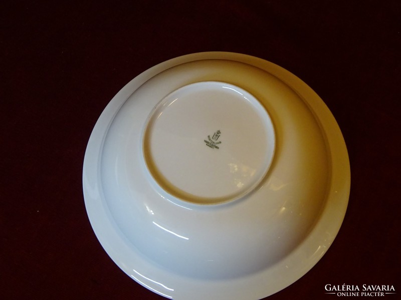 Winterling bavaria german porcelain garnished bowl with onion pattern. He has!