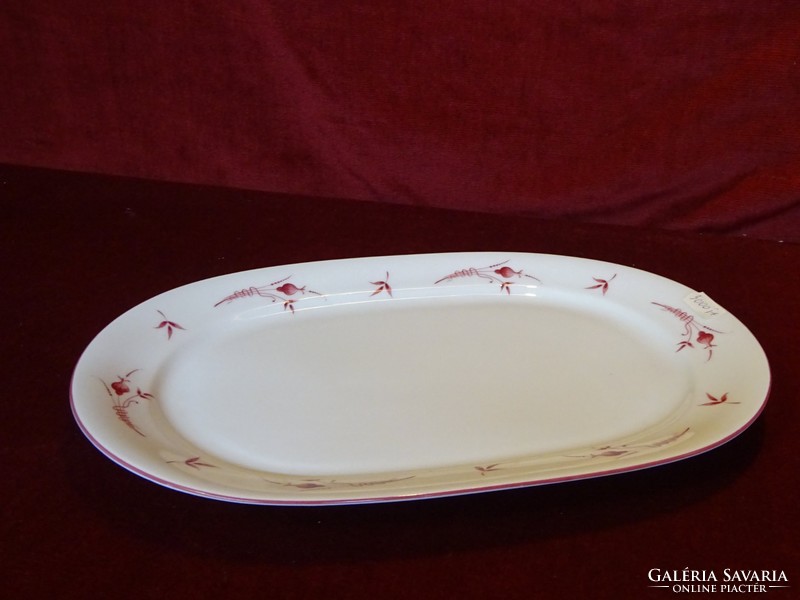 Winterling bavaria german porcelain oval meat dish with onion pattern. He has!