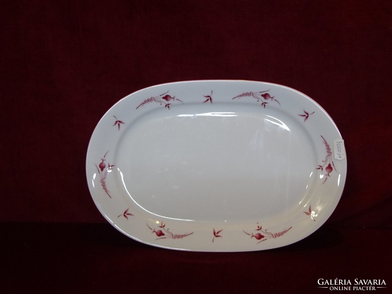 Winterling bavaria german porcelain oval meat dish with onion pattern. He has!