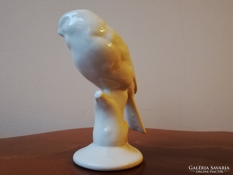 Hófehér porcelán papagály, antik porcelán madár jelzés nélkül 