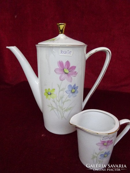 Winterling bavaria German porcelain tea pourer and milk pourer. With blue / pink / yellow flowers. He has!