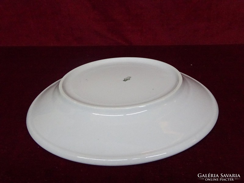 Zsolnay flat plate with shield seal and blue stripe on the edge. He has!