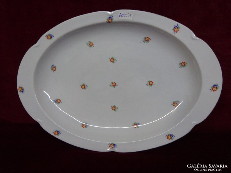 Epiag royal Czechoslovak porcelain antique meat bowl, size 36 x 24.5 cm. He has!