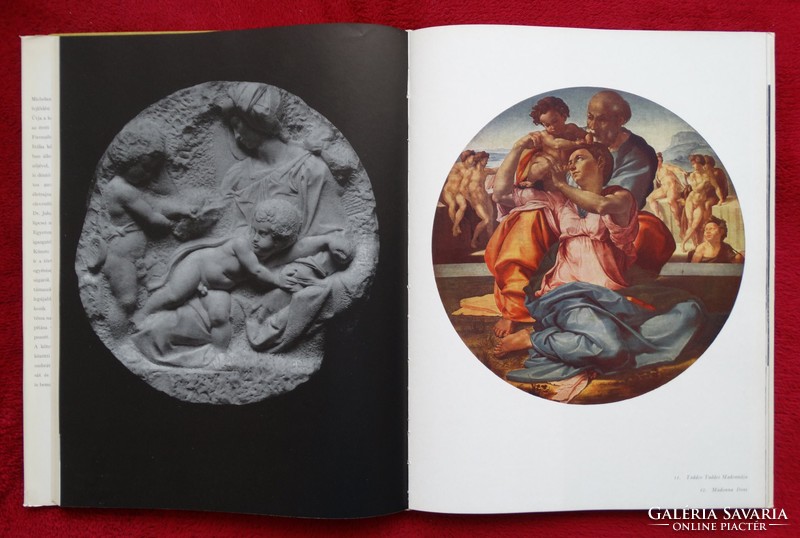 Johannes Jahn : Michelangelo
