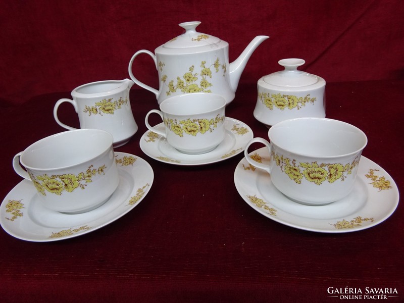 Lowland porcelain tea set for 3 people. He has!