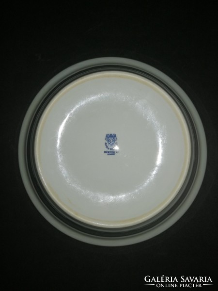 Alföldi retro porcelain plate with hospital inscription - ep