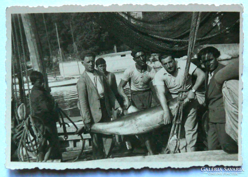 Opatija dolphin hunters, 1932. Amateur photo, high quality