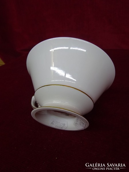 Antique American porcelain teacup. Bavaria tischenreuth. He has!
