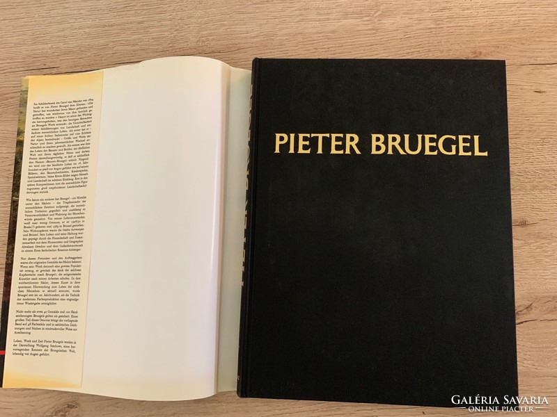 BRUEGEL - Wolfgang Stechow 1974