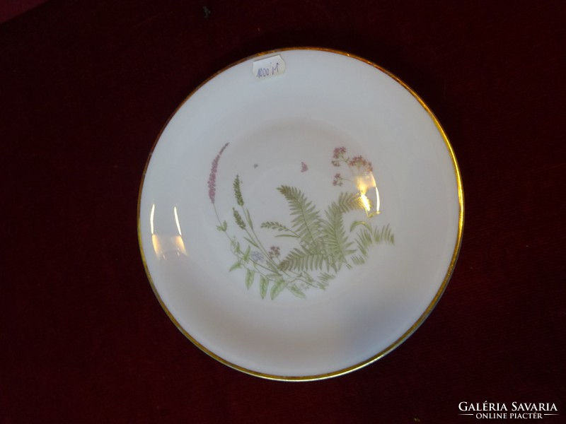 Hc bavaria German porcelain cake plate with fern pattern, diameter 19.5 cm. He has!