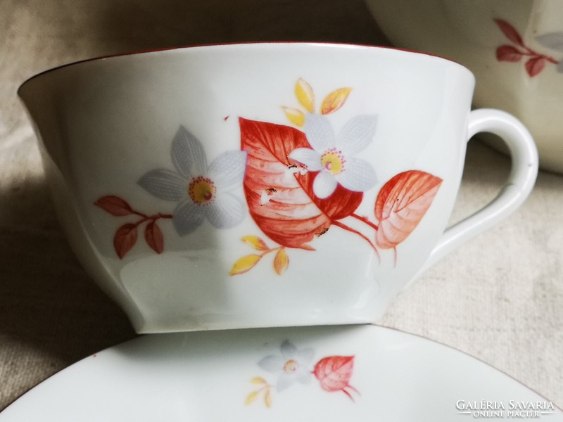 Old drasche porcelain tea set with flower pattern