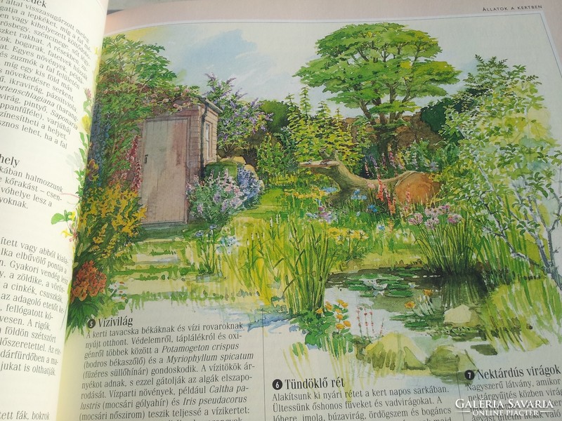 1001 Things to do in the garden