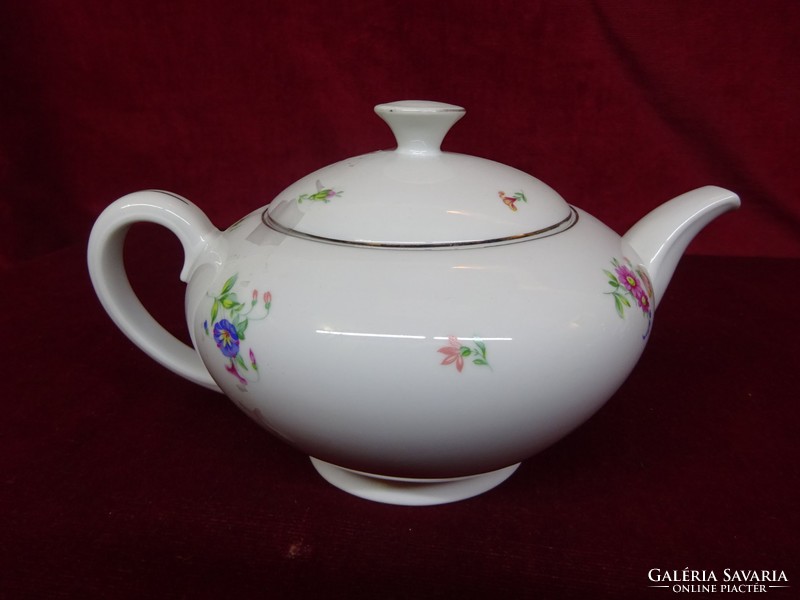Antique Czech porcelain teapot held in a display case with a small floral pattern. He has!