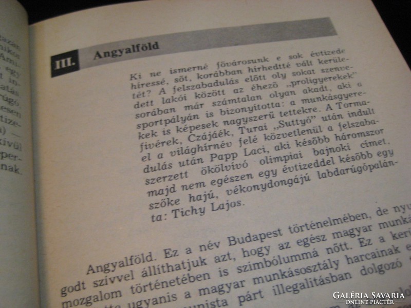 Szikrázó cipők   TICHY  Lajos   élet regénye   1982   .280 oldal , írta  Pongrácz Gy.