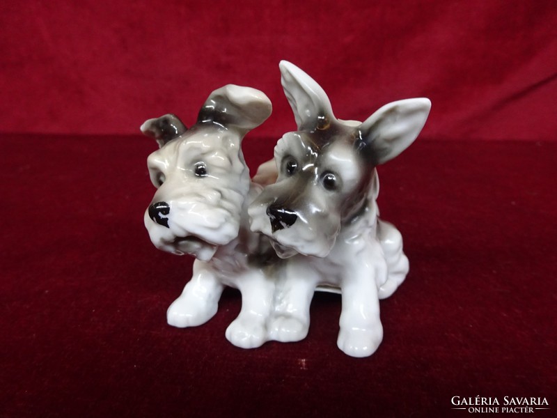 Antique german terrier porcelain dog pair. Size 8 x 8 x 8 cm. He has!